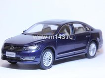 Volkswagen Passat 2011 (Blue)