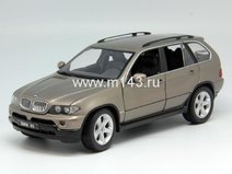 BMW X5 (2004) коричневая
