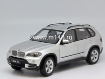 BMW X5 (2007) серебристая